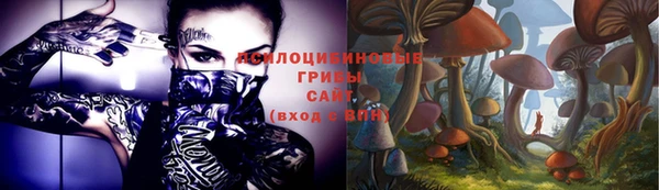 ALPHA-PVP Ельня