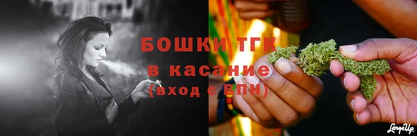 СК Новодвинск