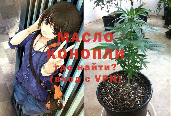СК Новодвинск