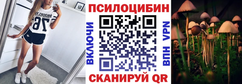 нарко площадка формула  Новое Девяткино  Псилоцибиновые грибы GOLDEN TEACHER 